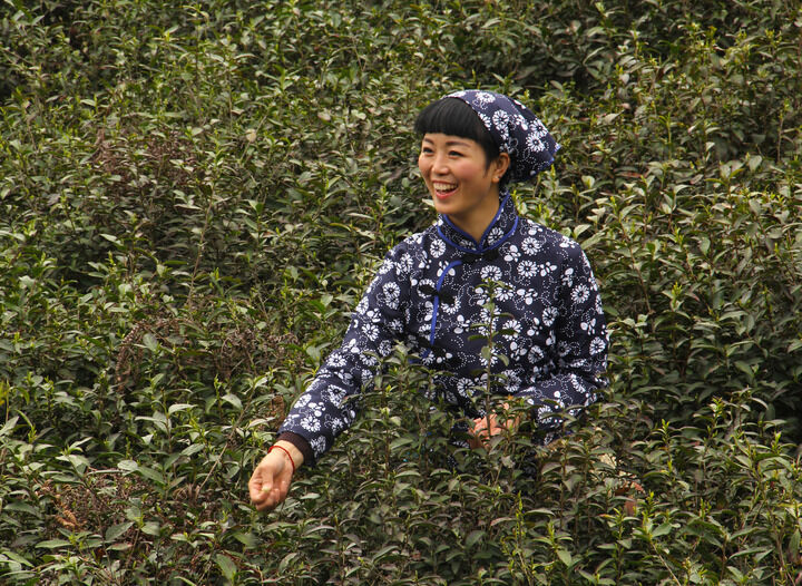 间谍过家家